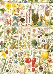 Puzzle Placer Botánico 1000 piezas