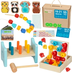 Caja educativa Montessori para niños de 19–21 meses - TOOKY TOY