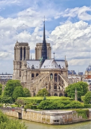Puzle de 1000 piezas Notre-Dame de Dino