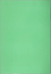 Funda transparente para documentos A4 en L, PVC verde 140 micras