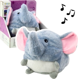 Set de elefante tranquilo con música y luz