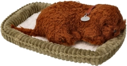 Mascota Perfecta Cachorrito Caniche Durmiendo