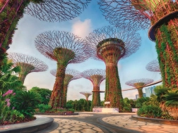 Puzzle Ravensburger Super Árboles en Singapur, 1500 piezas