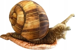 Caracol de peluche de 35 cm - 1 unidad