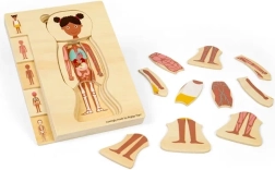 Bigjigs Toys rompecabezas de madera de anatomía – niña