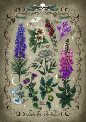 Puzzle Plantas Venenosas 1000 piezas