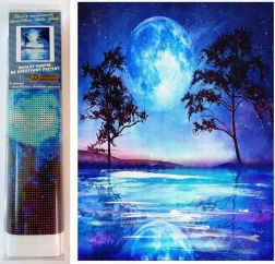 Norimpex pintura de diamantes delfín azul 30 × 40 cm