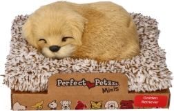 Golden retriever ladrador en su camita