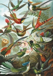 Puzle Colibríes 1000 piezas
