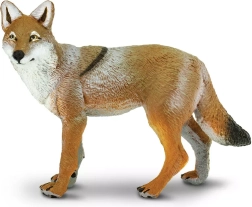Coyote Safari Ltd. - 1 pieza
