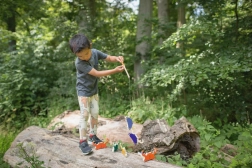 Juguete En Busca de Cangrejos