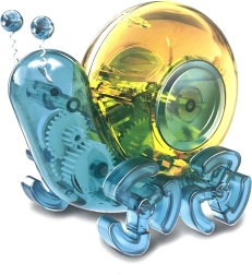 Caracol solar para niños: juguete educativo sin baterías