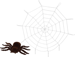 Telaraña decorativa con araña