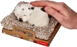 Dálmata ladrador en su camita