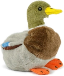 Pato de peluche ánade real 18 cm