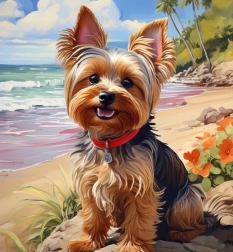 Pintura de diamantes Yorkshire en la playa 30 × 40 cm