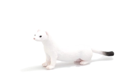 Figura de mostela armiño Mojo con pelaje invernal