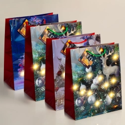 Bolsa de regalo LED con iluminación blanca cálida - 1 unidad