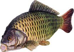 Carpa de peluche 52 cm
