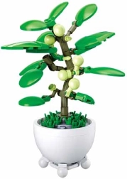 Sluban planta tropical en maceta