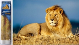 Pintura de diamantes Majestad del León 30x40 cm