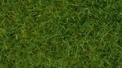 Hierba estática silvestre verde claro 6 mm Noch
