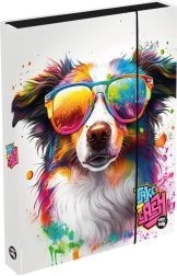 Caja para cuadernos A4 Jumbo con perro