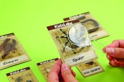 Set educativo de excavación – bichitos