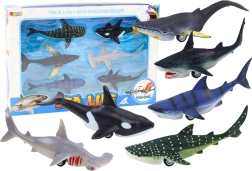 Set de figuras de animales marinos con motor de fricción – tiburón, orca y más, 6 uds