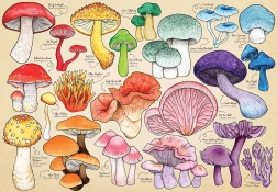 Puzzle Fiebre de las setas, 1000 piezas