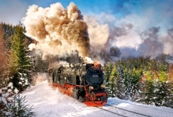 Puzzle de 1000 piezas Steam Train