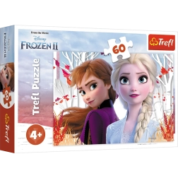Puzzle de 60 piezas El maravilloso mundo de Anna y Elsa