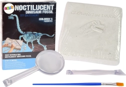 Set arqueológico de excavación de dinosaurio, esqueleto 3D Brachiosaurus