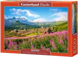Puzle de 1000 piezas Hala Gąsienicowa, Tatras, Polonia