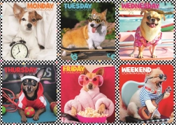 Puzle de 200 piezas – perros alegres – Trefl