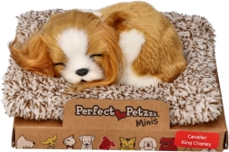 Cachorrito dormido Cavalier King Charles Perfect Petzzz