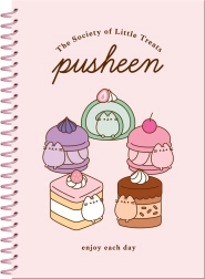 Set Pusheen – bloc de anillas y pegatinas