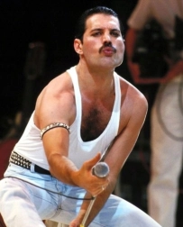 Pintura de diamantes FREDDIE MERCURY 30 × 40 cm