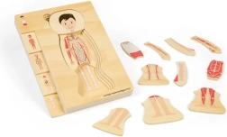 Puzle anatómico de madera por capas – niño BIGJIGS TOYS