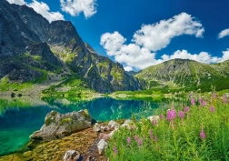 Puzzle Czarny Staw pod Rysy, Tatras 500 piezas