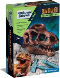 Set científico: fósil, cráneo de T-Rex
