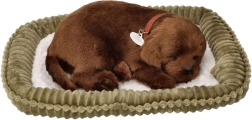 Cachorro de peluche que ronca – labrador chocolate sobre camita