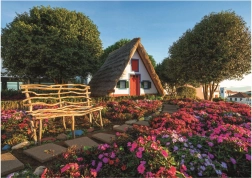 Puzzle Educa Santana, Madeira 1500 piezas