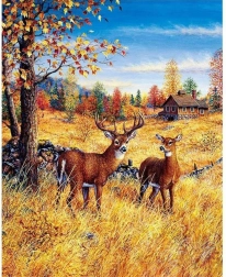 Pintura con diamantes Ciervos en el campo 30x40 cm