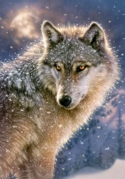 Puzzle de 500 piezas Lone Wolf