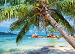Puzzle Playa tropical de 1000 piezas