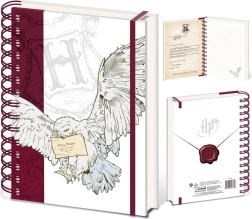 Harry Potter bloc de anillas Special Delivery