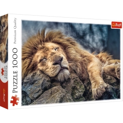Rompecabezas de 1000 piezas León durmiendo