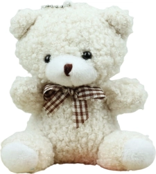 Llavero de osito de peluche blanco 8 cm