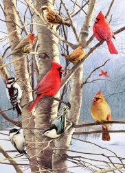 Puzzle Pájaros en Invierno 1000 Piezas